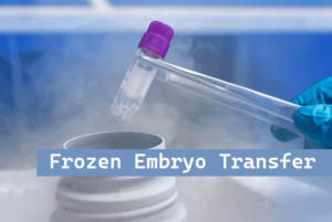 Frozen Embryo Transfer