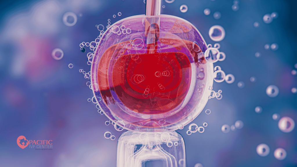 What Is Egg Donation and Who Is It For?