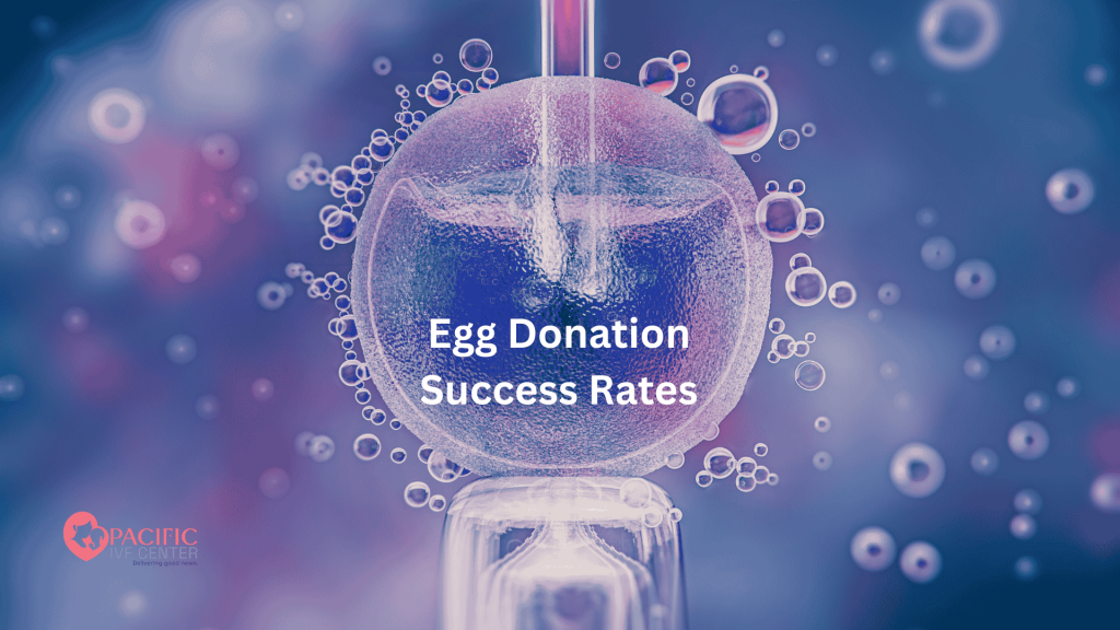 egg donation success rates