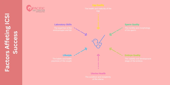 Factor Affecting ICSI Success