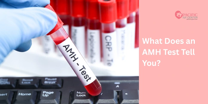 What Does an AMH Test Tell You?