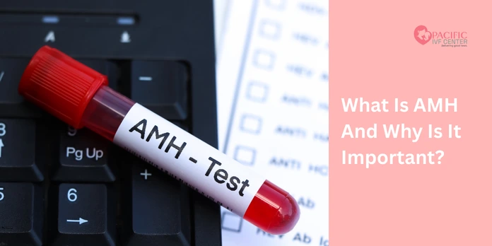 What Is AMH and Why Is It Important?