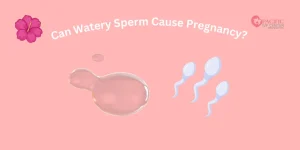 Can Watery Sperm Cause Pregnancy