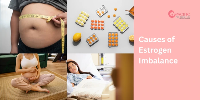 Causes of Estrogen Imbalance