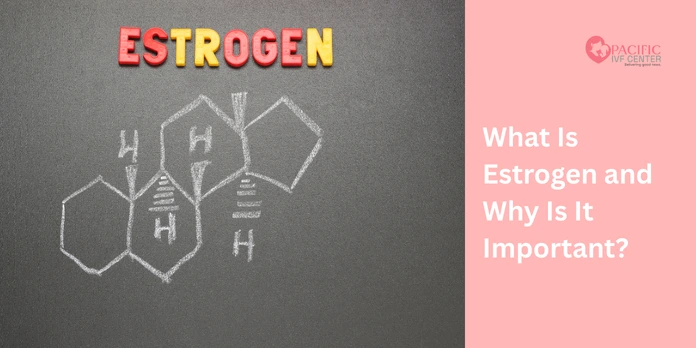What Is Estrogen and Why Is It Important?
